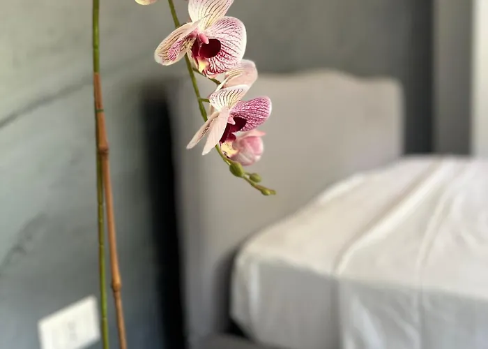 Alison Apartamento Tropea